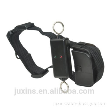 Petrainer PET899 Good Dog Training Collar